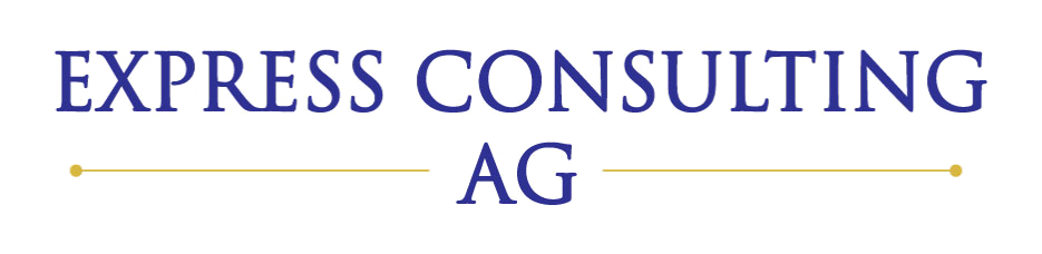 Express Consulting AG